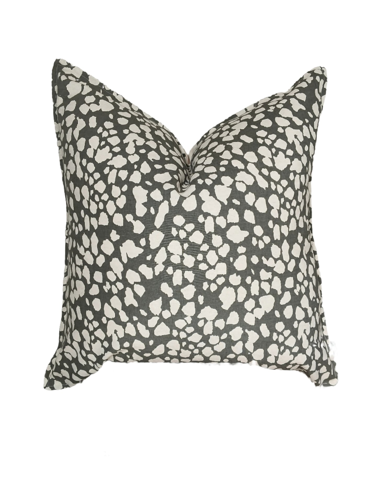 Modern Leopard