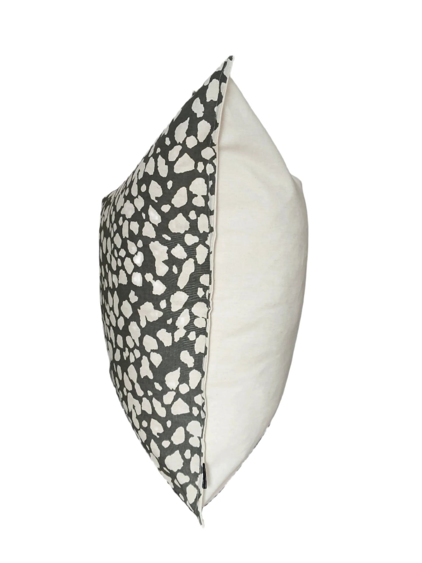 Modern Leopard