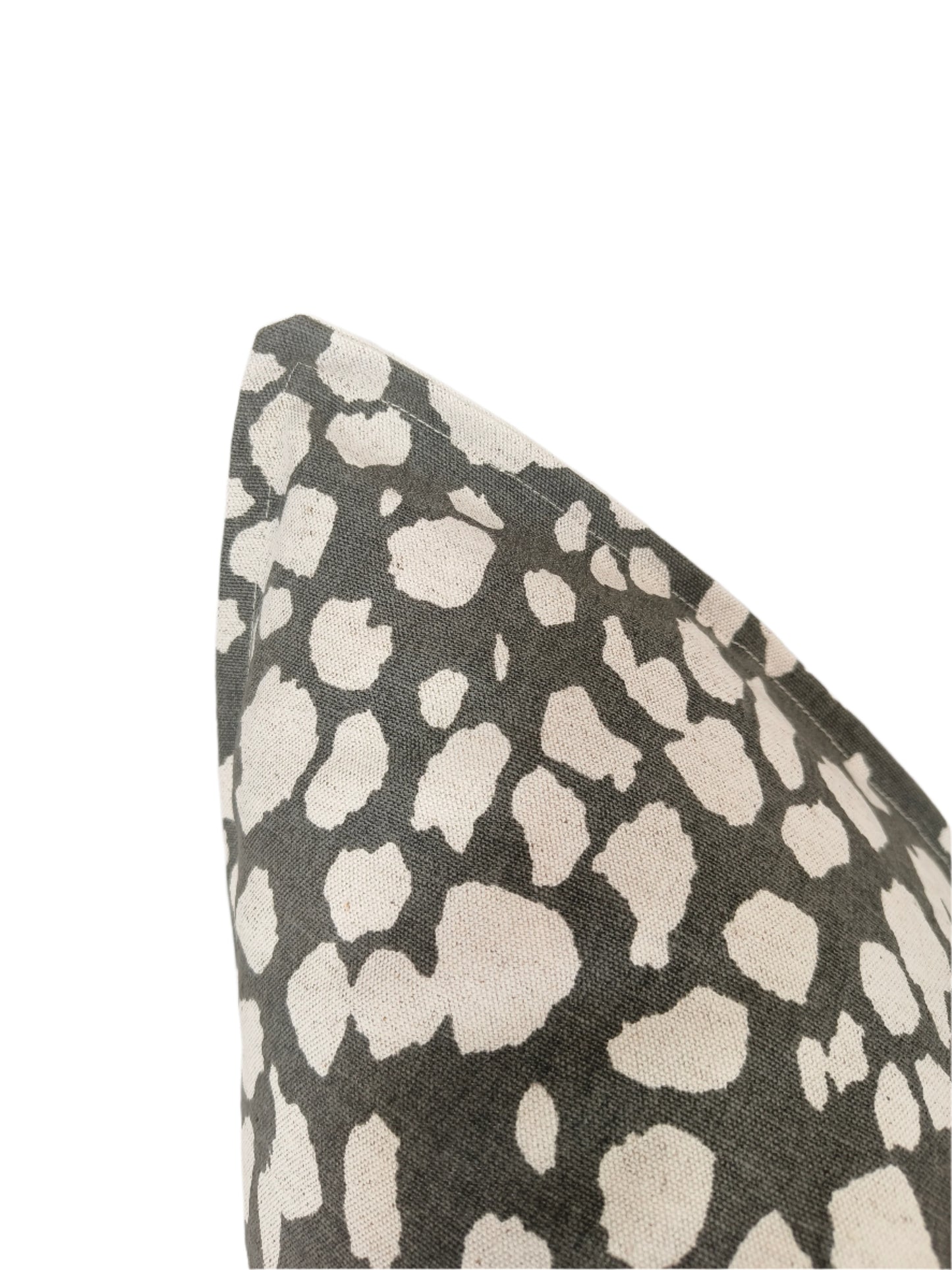 Modern Leopard